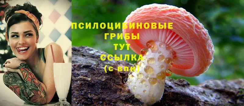 что такое наркотик  Красноперекопск  Псилоцибиновые грибы Psilocybine cubensis 